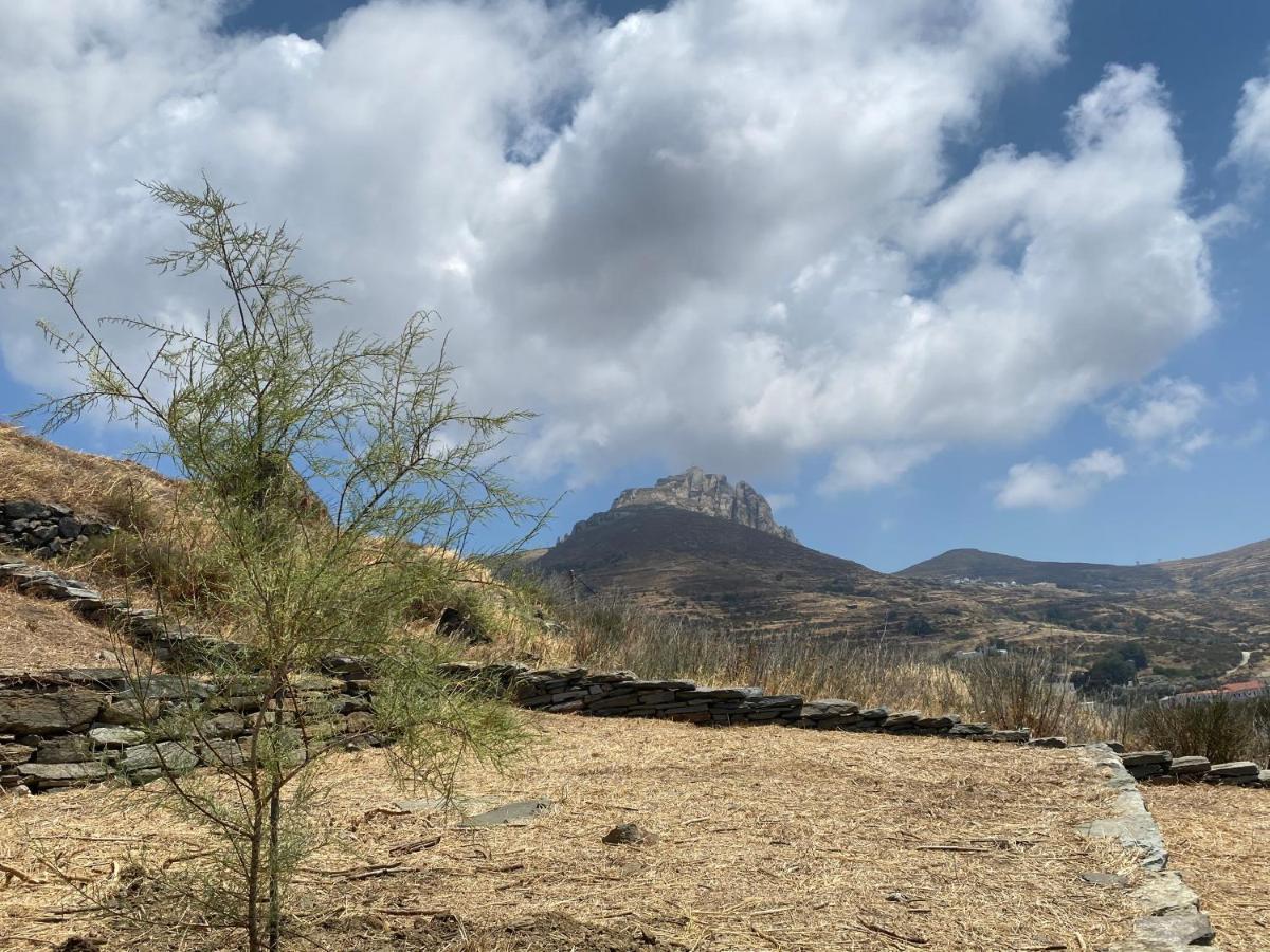 Alonaki Tinos Rental Cottage House Skaládhos Dış mekan fotoğraf